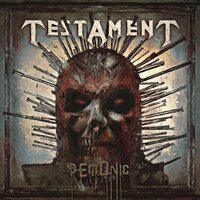 The Burning Times - Testament